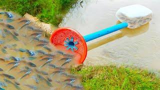 Build Fish Trapping System With PVC Pipe & Plastic Bottle Catching A Lot Of Fishes