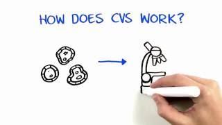 Chorionic Villus Sampling CVS