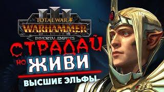 Имрик в Total War Warhammer 3 прохождение за Высших Эльфов в Immortal Empires - #2