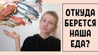 Что нужно знать о рыбе и морепродуктах?