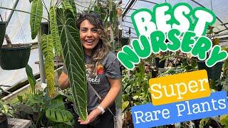 RARE PLANT NURSERY TOUR AT A MIND BLOWING NURSERY Houseplant Collectors Dream