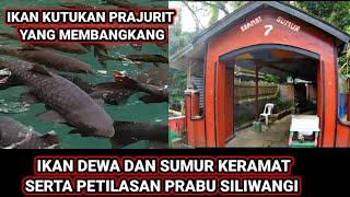 IKAN DEWA DAN PETILASAN PRABU SILIWANGI DI OBJEK WISATA CIBULAN KUNINGAN