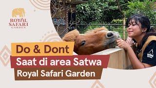 Do and Dont Saat di area Satwa Royal Safari Garden