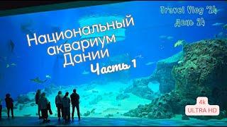 Национальный аквариум Дании 1 Копенгаген 4K Travel Vlog 24 День24 #aquarium #аквариум