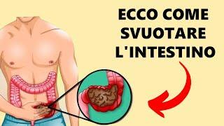 Con Questi Lassativi Svuoti Lintestino In Modo Naturale