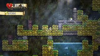 How to enter the haunted castle in spelunky