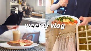 Weekly Vlog  wedding dress shopping watching The Glory my bullying story cat sitting cooking