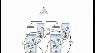 Tracking seizure dynamics using data-driven neural-field modelling