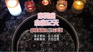 摩羯座，未来12天感情发展&三方关系：缘分重续，佳人再遇，和解如初，共结连理