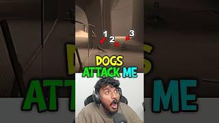 3 Dogs Attack Me