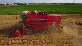 Massey Ferguson 32  PL  2021