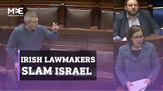 Irish lawmakers call for actions against Israel