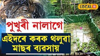 Tinsukia News  ঘৰত চোতালত মাছ পুহি বছৰি ৭ লাখতকৈও অধিক টকা উপাৰ্জন লক্ষী দাসৰ #local18