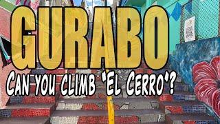 Gurabo Puerto Rico  Uncover 5 Hidden Gems