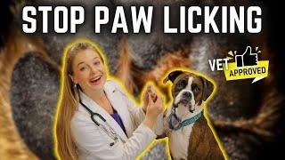 Stop Paw Licking for Good with at home remedies  Vet Dr. Lindsay Butzer explains