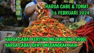 harga cabai hari ini  16 Februari 2024  info harga cabe rawit hari ini di jawa timur