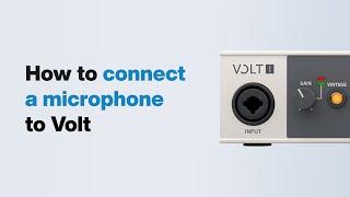 UA Support How to Connect a Microphone to Volt USB Audio Interface