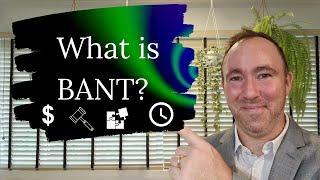 What is BANT? Budget Authority Need & Timeline