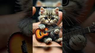 cute cat meditation ️#cute #cutespets #cuteanimals #cat #guitar#meditation