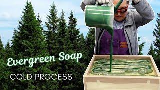 Evergreen Cold Process Soap  Soapmaking with Holly  MO River Soap