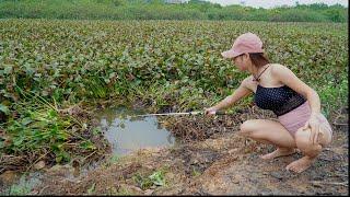 Amazing Fishing  Beautiful Girl Hunting Giant Fish in a Great Location