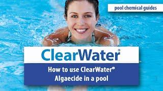 How To Use Algaecide In A Pool