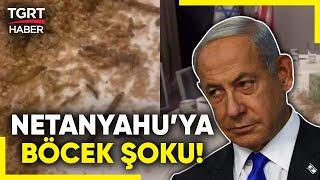 ABD’de Netanyahu Protestosu Kaldığı Otelde Oturduğu Yemek Masasına Böcek Döktüler - TGRT Haber