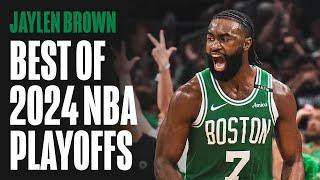 Jaylen Brown Best of 2024 NBA Playoffs