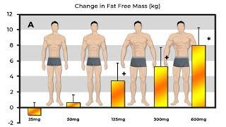 Exactly How Much Muscle Does 25mg 50mg 125mg 300mg & 600mg Of Testosterone Build?