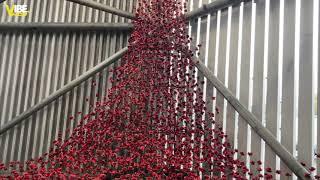 Poppy Sculpture at Imperial War Museum North