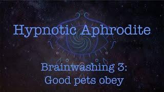 Brainwashing 3 Good pets obey