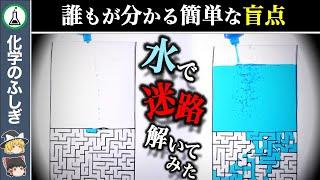 【ゆっくり解説】意思があるのか？存在しました「水は迷路を解けるのか」