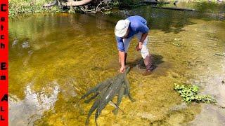 FISH are DYING and TRAPPED in COW PUDDLES ** Help from Troy Landry Bruce n Aaron on Swamp People*