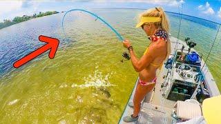 Pitched a Live Shrimp on a Florida Keys Sandbar & Things Got Crazy