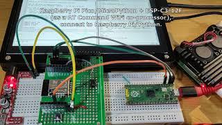 Raspberry Pi PicoMicroPython + ESP-C3-12F as a WiFi co-processor using AT Command