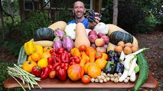 Big October Garden Harvest Local Food at its Best ️