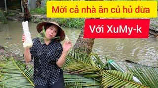 XuMy-k ra vườn đốn cây dừa của cha lấy củ hủ để ăn và cái kết