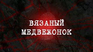 Вязаный медвежонок  Вещдок 2023. Преступления прошлого