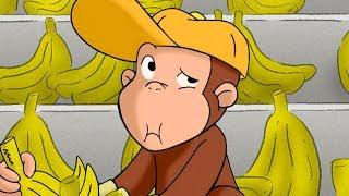 Curious George George The Grocer  Kids Cartoon  Kids Movies  Videos For Kids