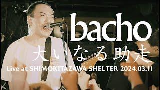 bacho - 大いなる助走【 Live at 東京・下北沢SHELTER 2024.03.11  1MAN 2DAYS 出航 】