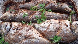 سمك_بورى_ودينيس_ مشوى بدون دخانGrilled fish _ mullet_and_ dennis