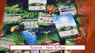 Canopy Board Game - Tutorial  How to Play with Examples