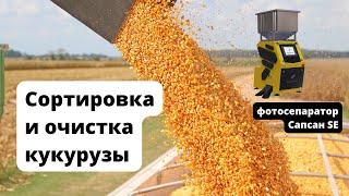 Очистка и сортировка кукурузы  Фотосепараторы Сапсан - мастер класс очистки зерна кукурузы.