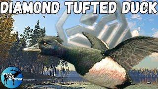 I Hunted My First Diamond Tufted Duck On Revontuli Coast  TheHunter Call Of The Wild