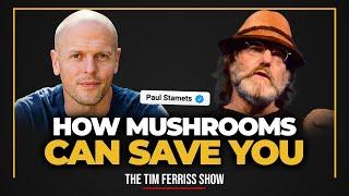 Paul Stamets — How Mushrooms Can Save You and Perhaps the World  The Tim Ferriss Show Podcast