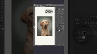 Protect your photoshop masks for extra creative control ️