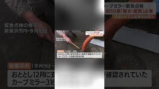 【ドラレコ映像フルは関連から】カーブミラーが頭に直撃 他にも50基以上が点検で対応が必要と判明 #ドラレコ事故 #Shorts