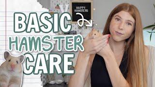 Basic Hamster Care 