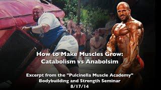 How to Make Muscles Grow Catabolism vs Anabolism