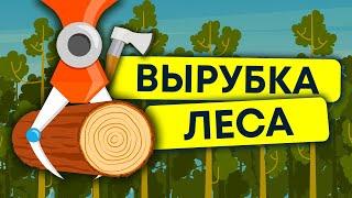 Массовое уничтожение леса. Лесные пожары. Чрезмерная вырубка деревьев. Экология  13+